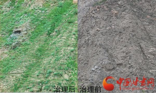 厚植绿色沃土 筑牢生态屏障——九州台片区水土保持综合试点项目显成效